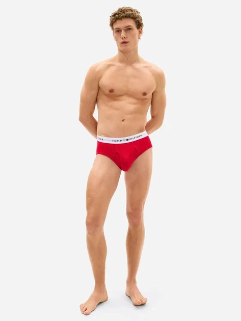 Набор трусов брифов мужских хлопковых Tommy Hilfiger 0855751-001 L 4 шт Комбинированный (199243997630) - Фото 4 Набор трусов брифов мужских хлопковых Tommy Hilfiger 0855751-001 L 4 шт Комбинированный (199243997630) - изображение 4