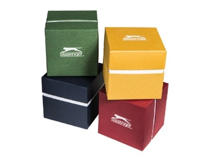 Мужские часы Slazenger SL.09.6201.2.05 - изображение 2