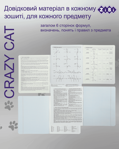 Набір предметних зошитів ZiBi Crazy Cat 48 аркушів у