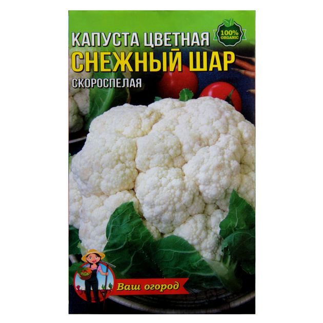 Семена капуста цветная Снежный шар скороспелая 3 г - Фото 1 Семена капуста цветная Снежный шар скороспелая 3 г - изображение 1