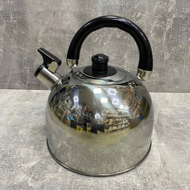 Чайник из нержавеющей стали 3,5 л A-Plus 1323 - изображение 2