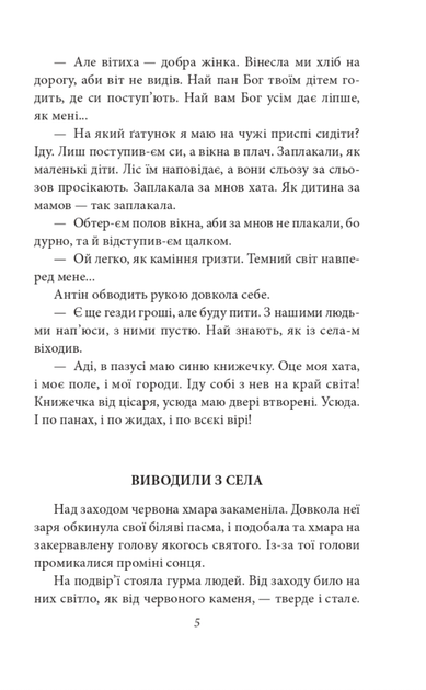 Камінний хрест - Василь Стефаник (9789660395657) - зображення 5