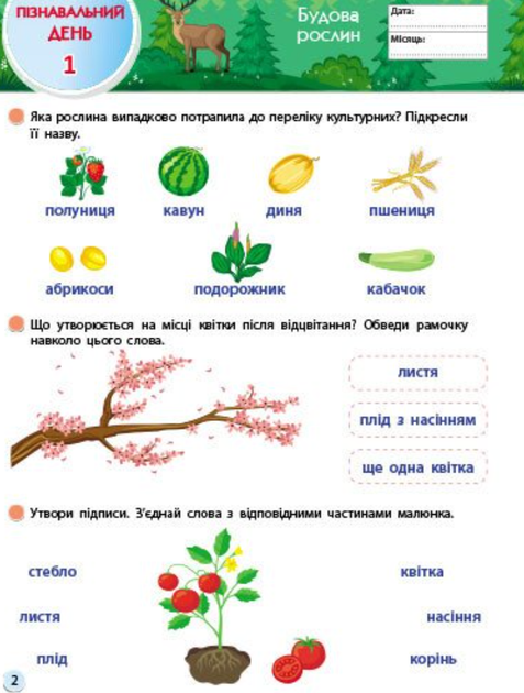 SMARTліто. Іду у 3 клас - Наталія Коваль (9786170994622) - зображення 2