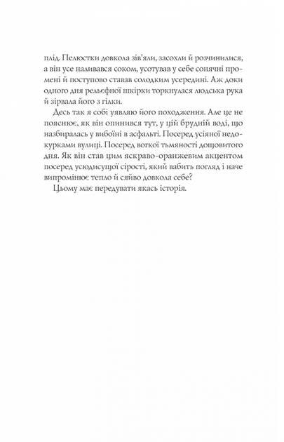 Апельсин у калюжі - Людмила Баран (9786171704909) - зображення 4