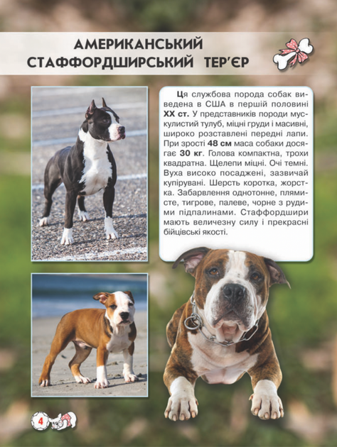 Світ навколо нас. Собаки - Тамара Протасовицька (9789669367488) - зображення 4