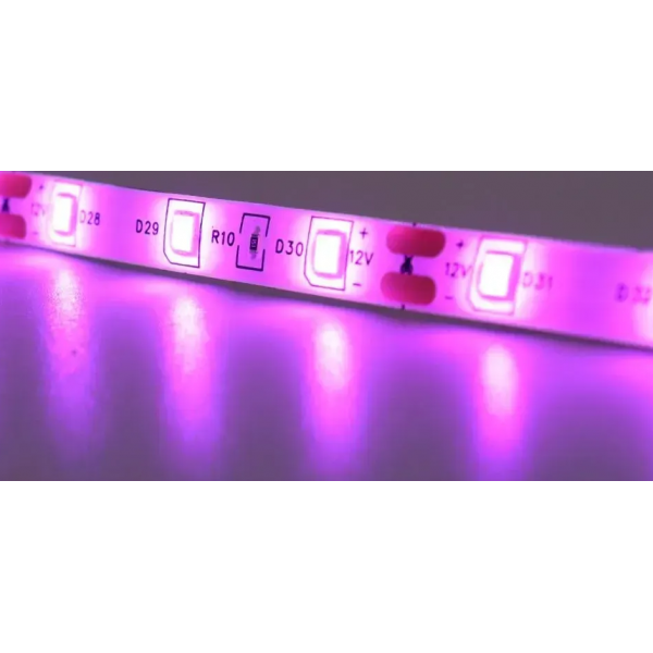 Світлодіодна фіто стрічка для рослин 5м, від мережі / LED стрічка для розсади (L) - зображення 9