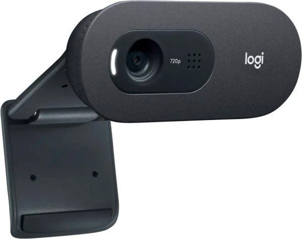 Веб-камера Logitech HD Webcam C505 (960-001364) - изображение 3