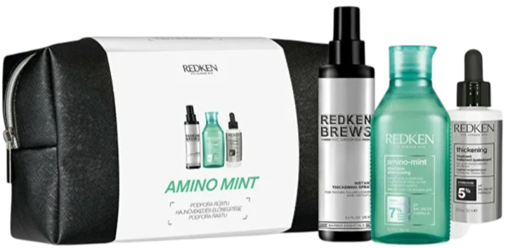 Zestaw do pielęgnacji włosów Redken Amino Mint szampon 300 ml + spray do włosów Brews Instant 125 ml + kuracja do włosów 90 ml + kosmetyczka (8592807463673) - obraz 1