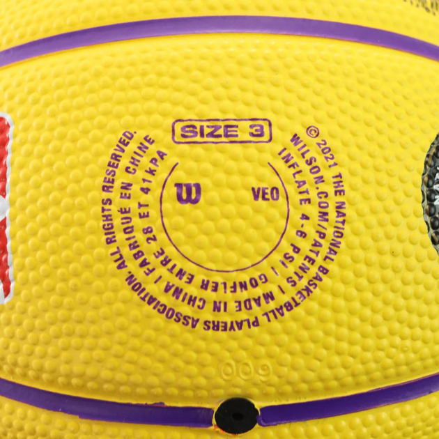 Баскетбольний Міні-М'яч Wilson NBA Player Icon Mini(WZ4007201XB3) 3 - изображение 5
