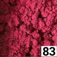 Стабілізований мох ягель норвезький 100 грамм pink83 - зображення 4