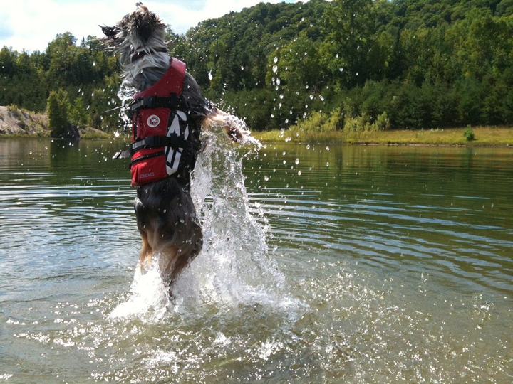 Kamizelka Ezydog Life Jacket XXS 22 - 30 cm czerwona (5708214954021) - obraz 6