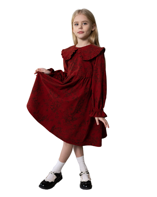 Плаття фланелеве для дівчинки Alwair Kids Червоний 80см 81152 - Фото 1 Плаття фланелеве для дівчинки Alwair Kids Червоний 80см 81152 - зображення 1