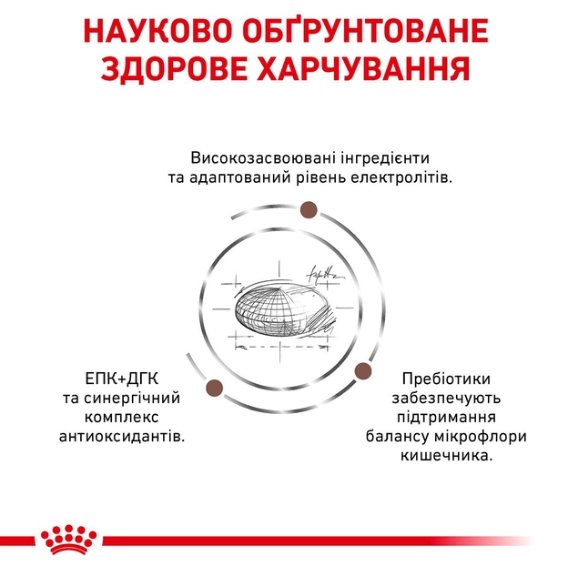 Сухой корм для собак Royal Canin Gastro Intestinal 2 кг 39110201 - изображение 4