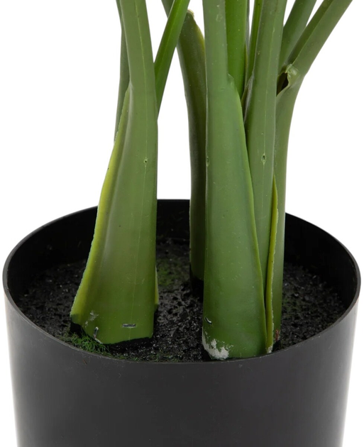 Sztuczna roślina Homla Tropical Zone Bananowiec 90 cm (5904183874203) - obraz 3