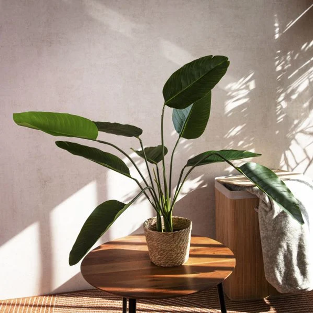 Sztuczna roślina Homla Tropical Zone Bananowiec 90 cm (5904183874203) - obraz 4