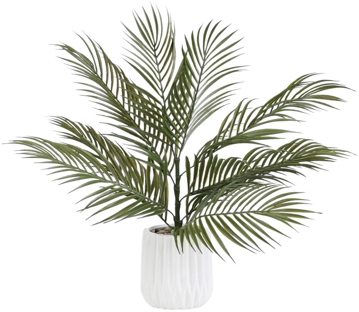 Sztuczna roślina Homla Semela Palma 56 cm (5904183875064) - obraz 1