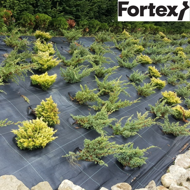 Агротекстиль Fortex 2,10х25 м, 52,5 м2, 100 г/м2 - изображение 11