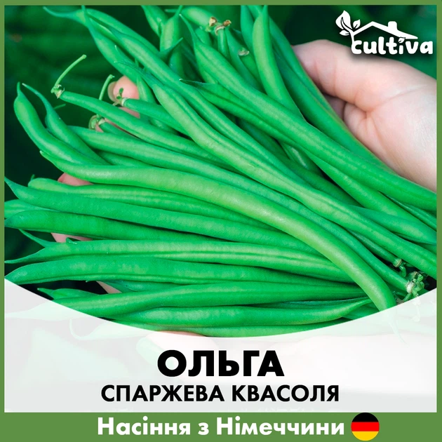 Спаржевая фасоль Satimex Ольга, 20 гр - Фото 1 Спаржевая фасоль Satimex Ольга, 20 гр - изображение 1