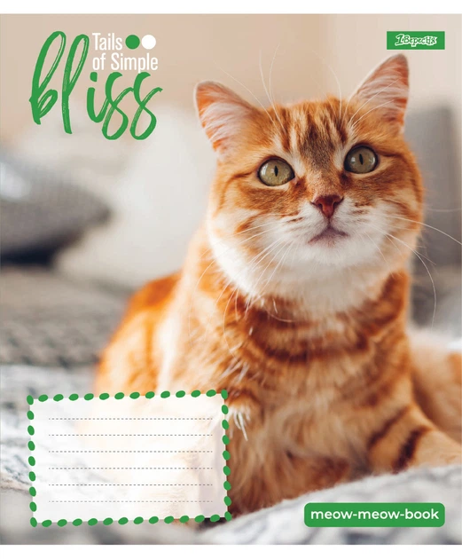 Набор тетрадей 12л. линия 1Вересня Bliss, уп.25шт. 768052 - Фото 4 Набор тетрадей 12л. линия 1Вересня Bliss, уп.25шт. 768052 - изображение 4