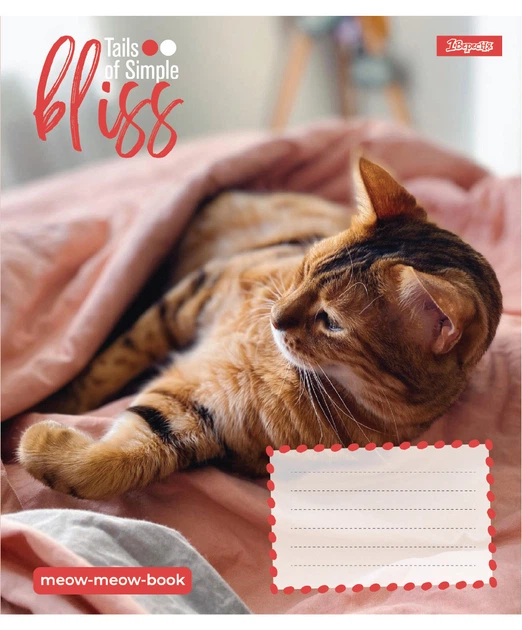 Набор тетрадей 12л. линия 1Вересня Bliss, уп.25шт. 768052 - Фото 6 Набор тетрадей 12л. линия 1Вересня Bliss, уп.25шт. 768052 - изображение 6