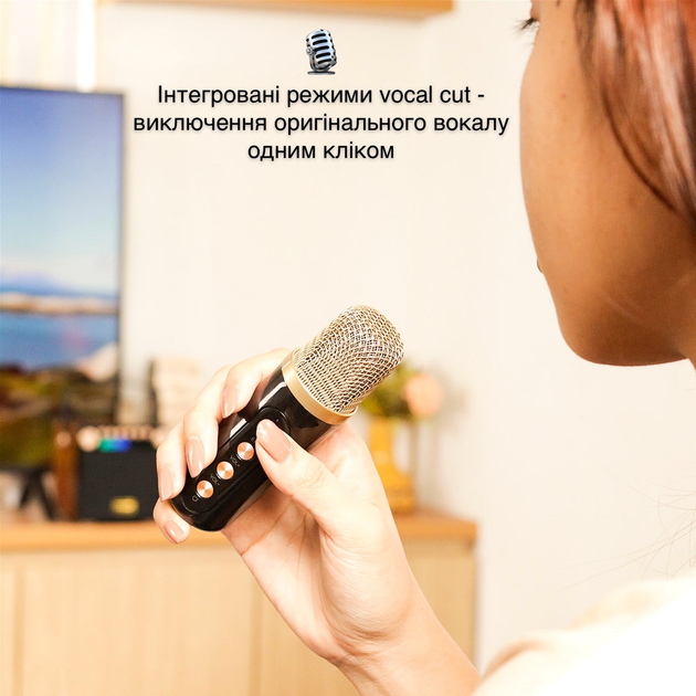 Портативна караоке-система Magic Karaoke YS-601 Wood - зображення 5