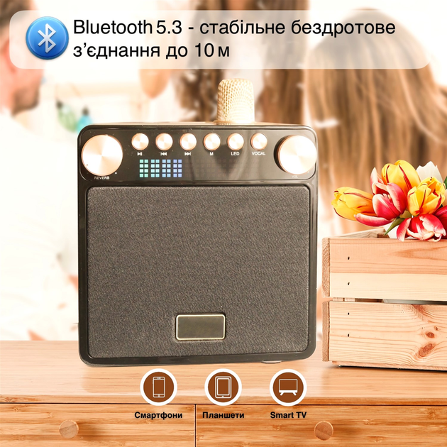 Портативна караоке-система Magic Karaoke YS-601 Wood - зображення 9