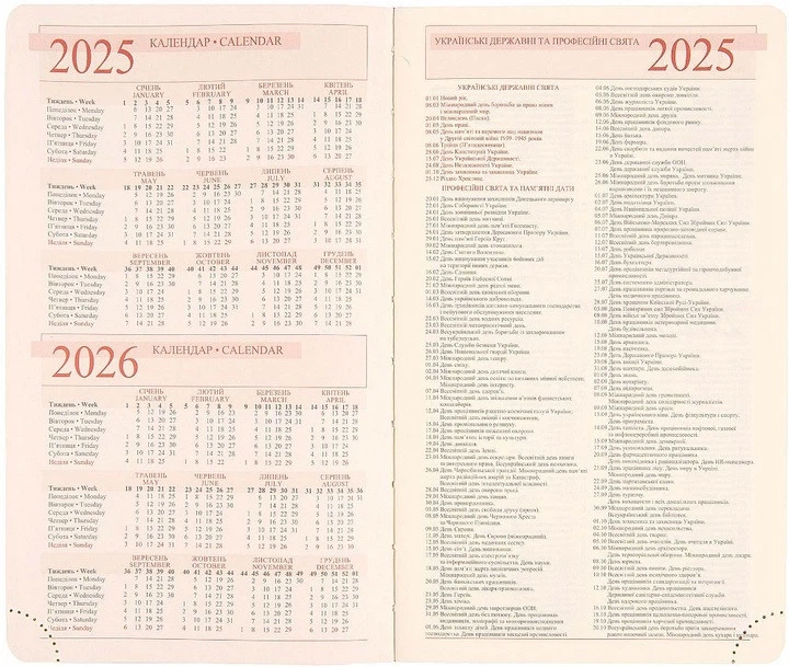 Деловой блокнот А6 Leo Planner Infinity 252553 352 листа 4936200 - изображение 7