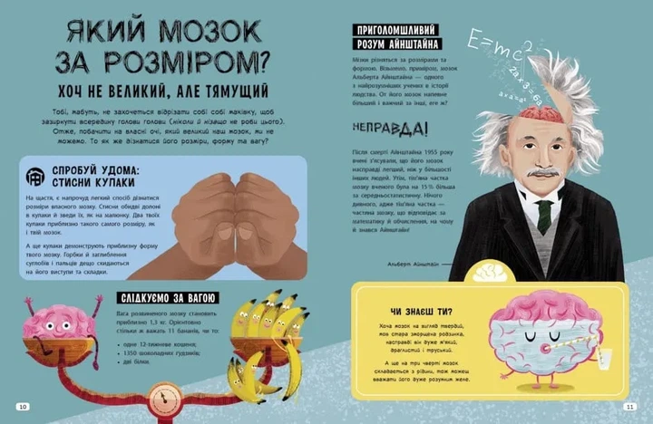 Дивовижний мозок. Ця книжка повна мізків: усілякі мізки та як вони працюють - Фото 5 Дивовижний мозок. Ця книжка повна мізків: усілякі мізки та як вони працюють - изображение 5