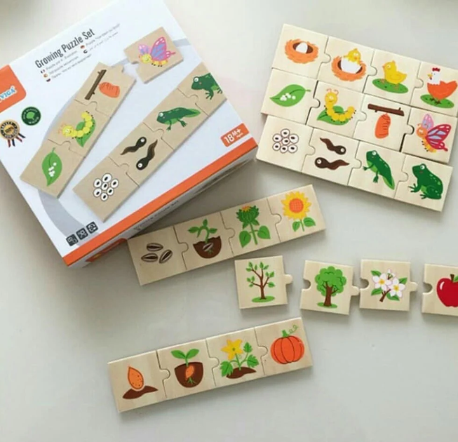 Drewniane puzzle - dopasowanka Viga Jak rośnie 51609 (6934510516093) - obraz 4