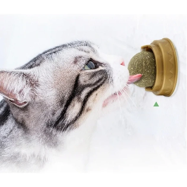 Ласощі з м'ятою для кішок із котяча м'ята, льодяник для котів, кулька, що Крута, з м'ятою на липучці - Фото 1 Ласощі з м'ятою для кішок із котяча м'ята, льодяник для котів, кулька, що Крута, з м'ятою на липучці - зображення 1