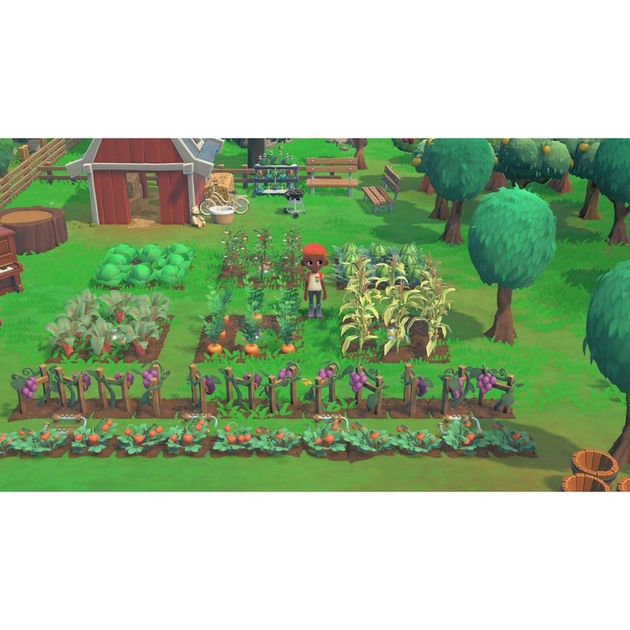 Gra Nintendo Switch Hokko Life (Kartridż) (5056208815255) - obraz 9