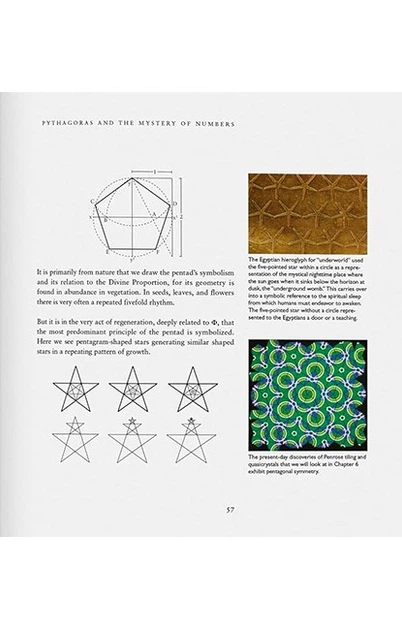 Книга The Secret Code (9783836507110) - изображение 7