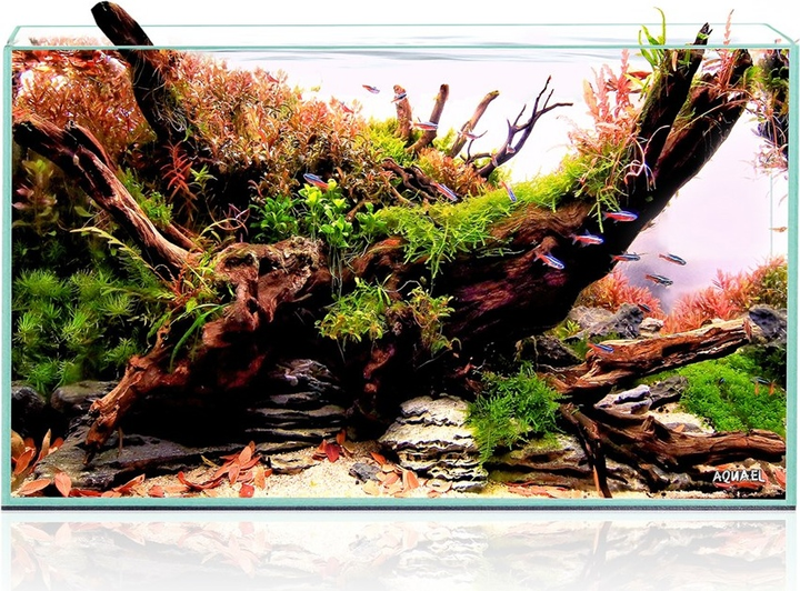 Akwarium AquaEl Opti Tank Scape 60 (5905546341684) - obraz 9