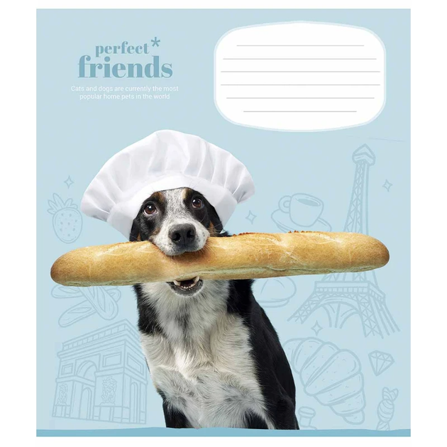 Тетрадь ученическая Perfect friends Школярик 012-3250K 12 л. (482000647043203250)(SC) shop (482000647043203250) - Фото 1 Тетрадь ученическая Perfect friends Школярик 012-3250K 12 л. (482000647043203250)(SC) shop (482000647043203250) - изображение 1