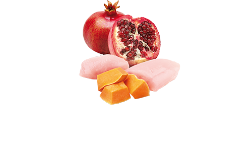 Влажный корм Farmina Grain Free Pumpkin Chicken Puppy Mini для щенков (курица) 140 г (арт 160585) - Фото 2 Влажный корм Farmina Grain Free Pumpkin Chicken Puppy Mini для щенков (курица) 140 г (арт 160585) - изображение 2