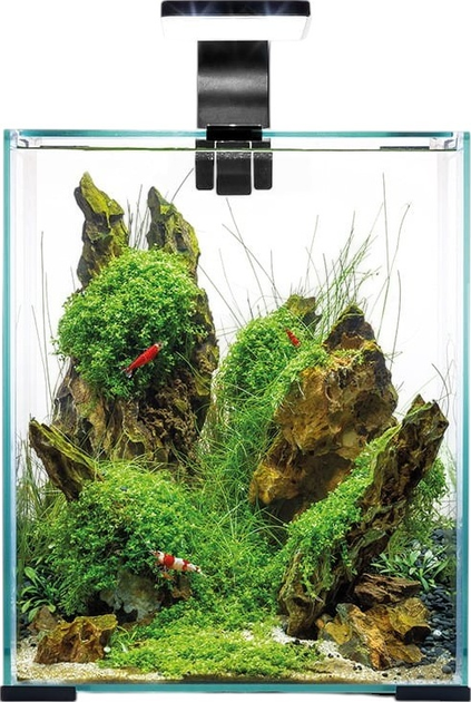 Zestaw akwariowy AquaEl Shrimp Set Smart Day&Night 30 Black (5905546326230) - obraz 2