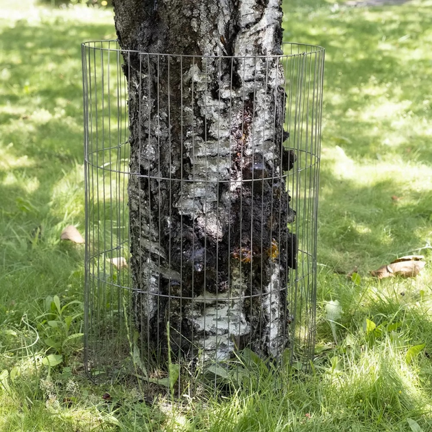 Siatka zabezpieczająca przed bobrami AquaEl SAFE TREE (5905546339841) - obraz 5