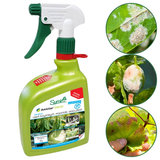Фунгіцид Sumin Amistar 250 SC PRE RTU 1 л (5907102015534) - зображення 2