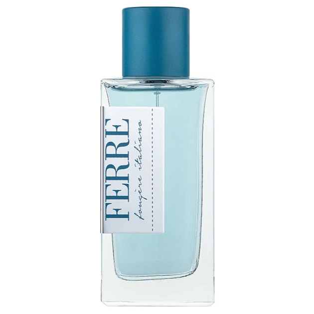 Gianfranco Ferre Fougere Italiano Туалетная вода (тестер в коробке) 100ml (8058045423201) - Фото 1 Gianfranco Ferre Fougere Italiano Туалетная вода (тестер в коробке) 100ml (8058045423201) - изображение 1