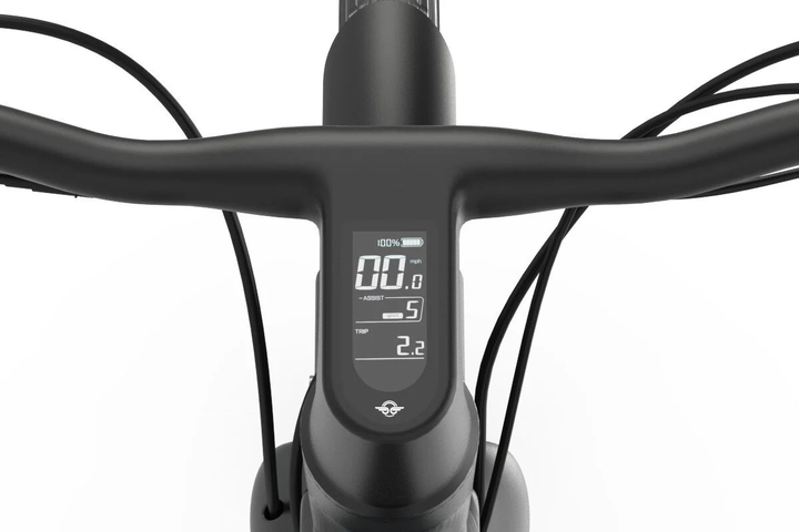 Rower elektryczny BIRD Urban 1.0 M22 28 cali Szary (0810029161916) - obraz 8