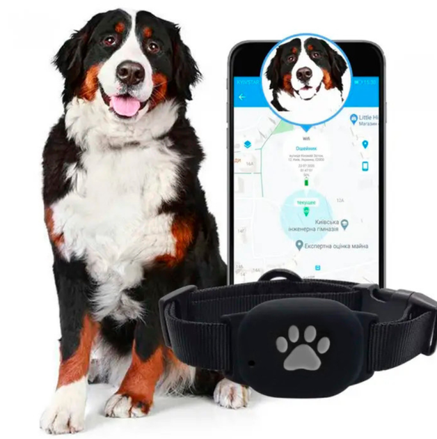 GPS нашийник для собак MYOX MPT-60DB чорний (DP-1562547127) - зображення 2