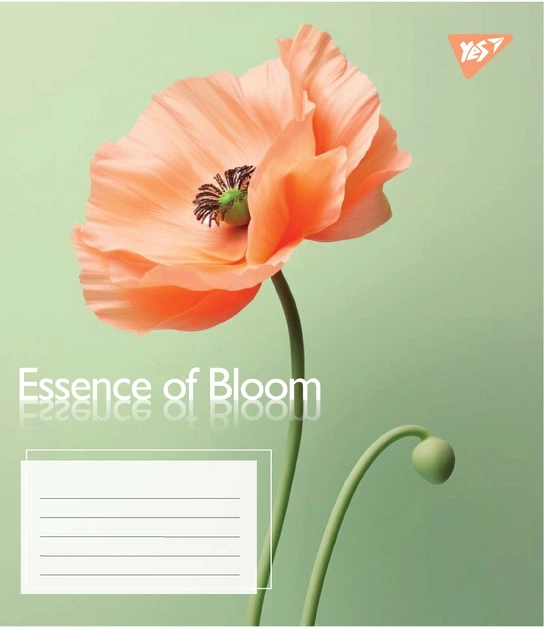 Набор тетрадей ученических общих Yes Essence of Bloom А5 48 листов в линию 10 шт (767722) - изображение 4