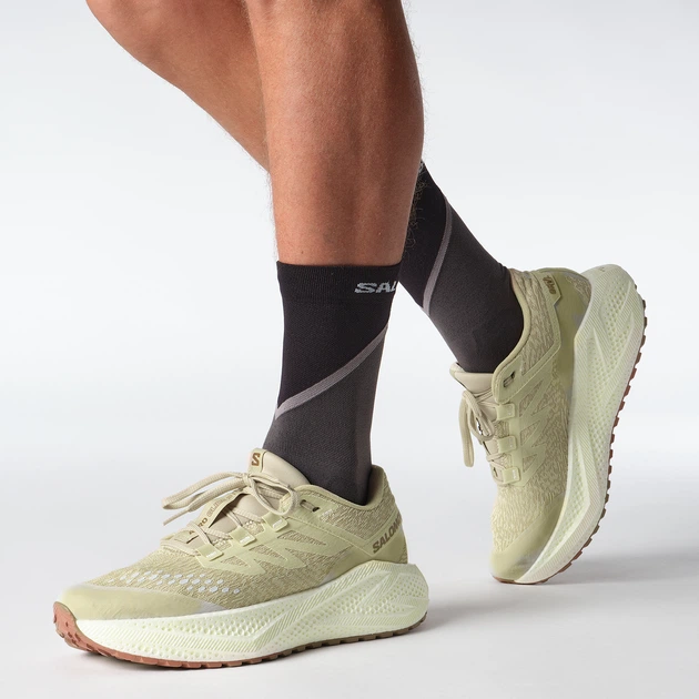 Мужские кроссовки для бега Salomon Aero Glide 3 Grvl L47797300