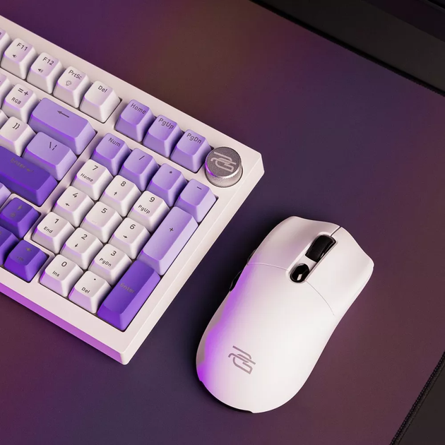 Беспроводная игровая мышь Proove Gaming Rate Белая - Фото 4 Беспроводная игровая мышь Proove Gaming Rate Белая - изображение 4