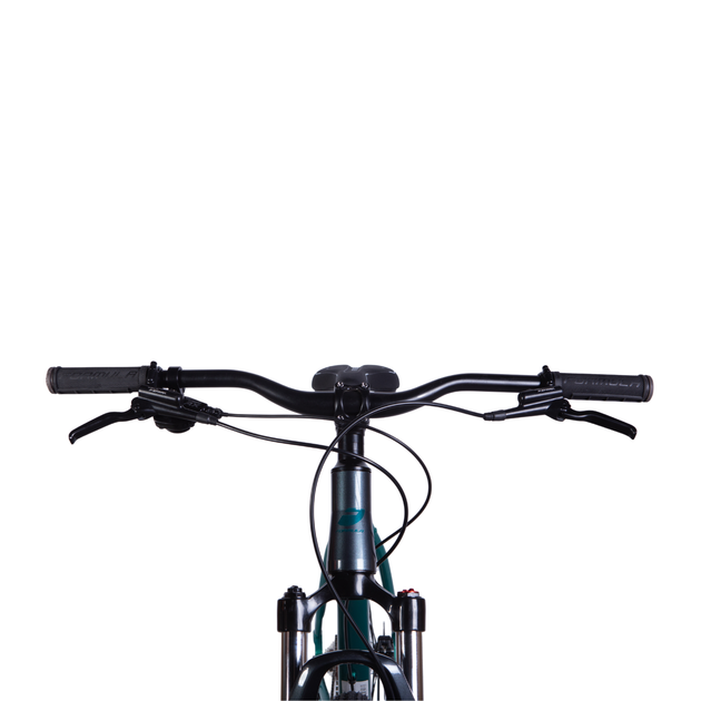 Велосипед AL 29" Formula ZEPHYR EXPERT HDD рама-21" темно-сріблястий з зеленим 2025 - Фото 4 Велосипед AL 29" Formula ZEPHYR EXPERT HDD рама-21" темно-сріблястий з зеленим 2025 - зображення 4