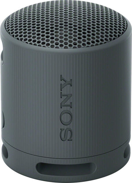 Głośnik przenośny Sony SRS-XB100 Black (4548736146129) - obraz 1