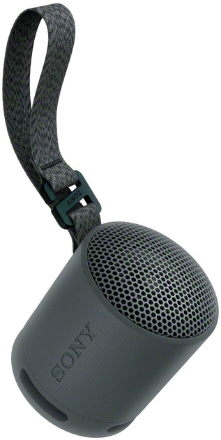 Głośnik przenośny Sony SRS-XB100 Black (4548736146129) - obraz 5