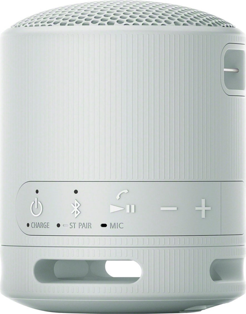 Głośnik przenośny Sony SRS-XB100 Light Grey (4548736146136) - obraz 3