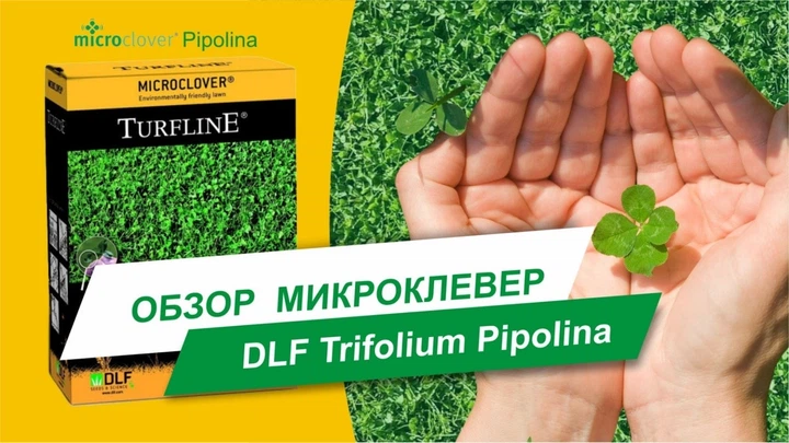 Мікроконюшина Піполіна / Pipolina DLF Trifolium 0,45 кг *12 шт - зображення 2