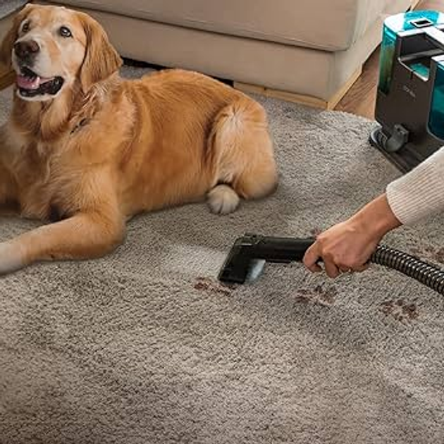 Odkurzacz piorący Cecotec Conga 3000 Carpet&Spot Clean L (05082) - obraz 4
